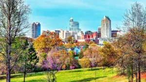 Raleigh. NC skyline during the day