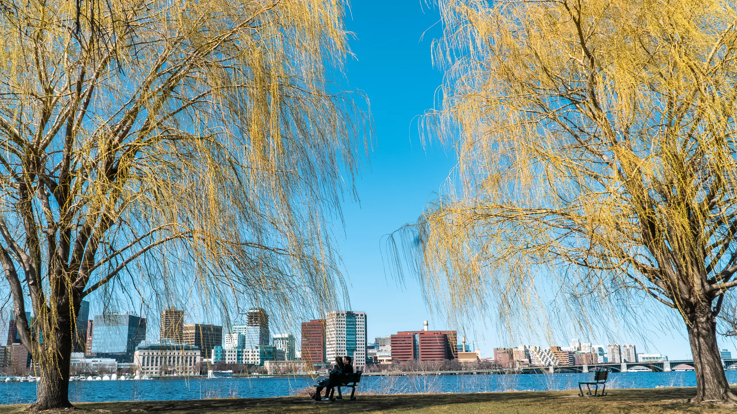 Boston skyline view from park bench across the water