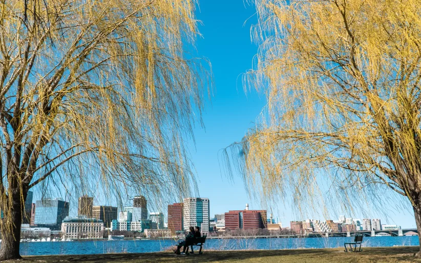 Boston skyline view from park bench across the water