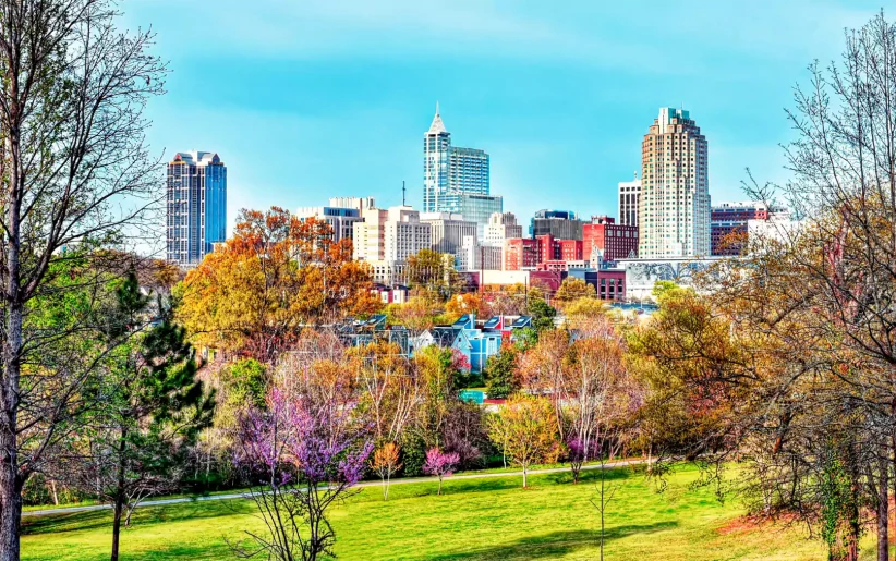 Raleigh. NC skyline during the day